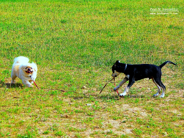 Candy & King